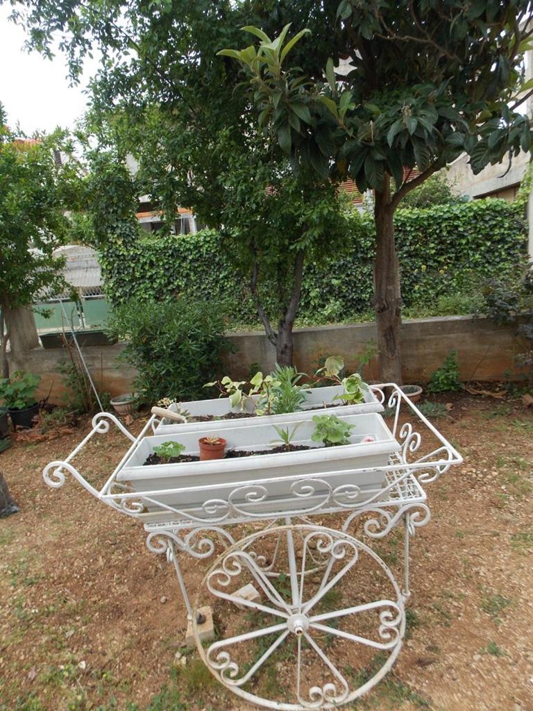 Apartment Ivana Водице Екстер'єр фото